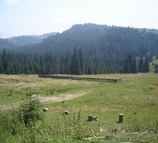 Parcul Natural Apuseni