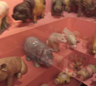 SchweineMuseum