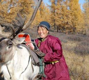 Chargement des rennes