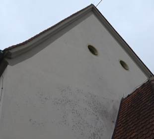 Kath. Kirche St. Vitus Amerdingen