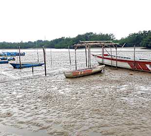 Rundgang Puerto Jeli