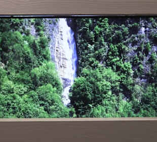 Heimatschutzzentrum in der Villa Patumbah