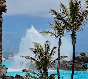 Meerwasserschwimmbad Lago Martiánez