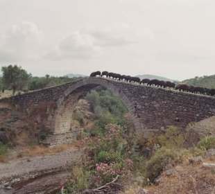 Kremasti Brücke mit Schafen