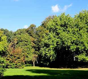 Herbstspaziergang durch Knoops Park