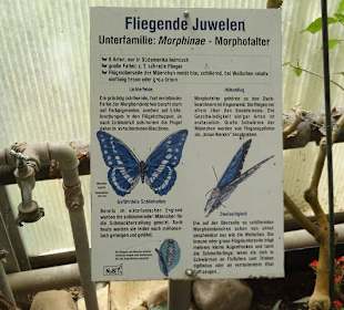 Die "Fliegende Juwelen"