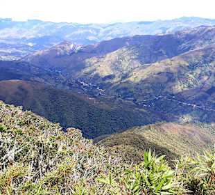 Podocarpus Nationalpark