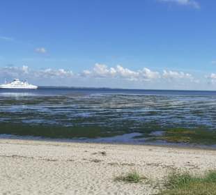 Insel Röm, Rømø, Romo