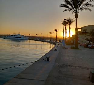 Port Ghalib