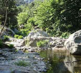 Impressionen von einer Wanderung an der Massane