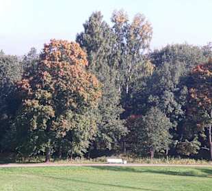 Unterer äußerer Park - Palastanlage Peterhof