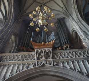 Katedra św. Szczepana