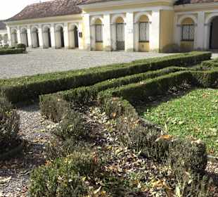 Schlossgarten Schloss Tettnang