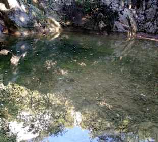 Wasserfälle Pećina