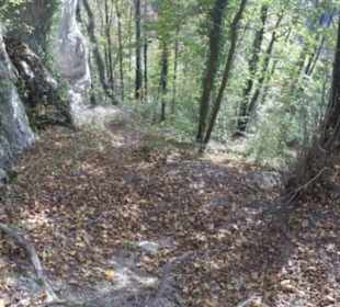 Gustav-Jakob Höhle Grabenstetten
