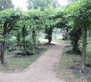 Pfaueninsel-Impression