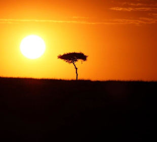 Sonnenaufgang Masei Mara