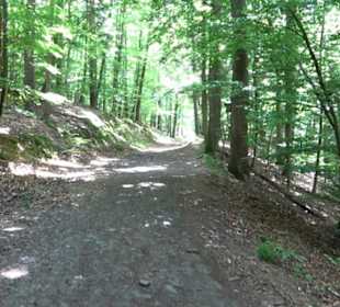 Wanderweg - Alter Steinbruch Pfaffenberg Runde