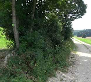 Premiumwanderweg "hochgesprudelt"