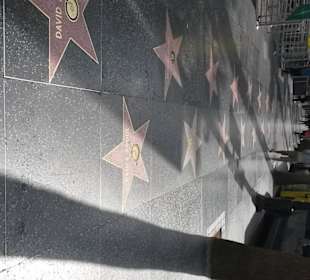 Hollywood - Boulevard - Walk of Fame