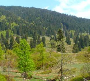 Sehr schönes Tal im Anschluss