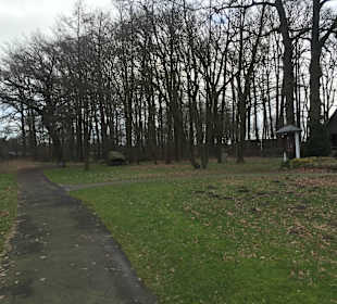 Spaziergänge um den See