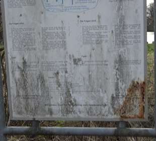 Beutwangsee Neckarhausen