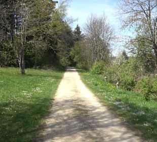 Rundweg am Beutenlay