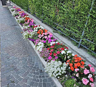 Lazise Altstadt
