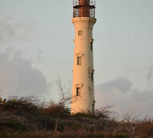 California Lighthouse