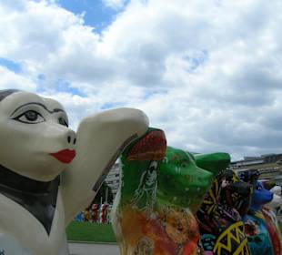 Esposizione degli orsi