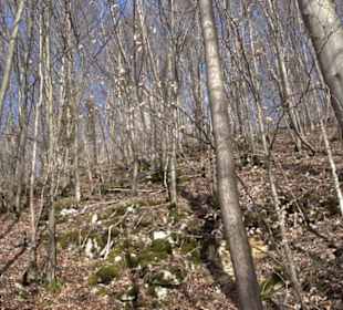 Burgruine Hohenwittlingen