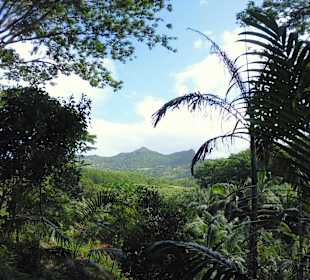 Chamarel, Weg zum Wasserfall