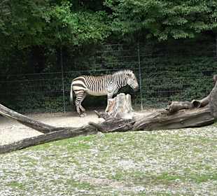 Tierpark Hellabrunn