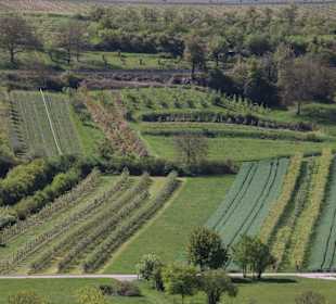 Aussichtspunkt terroir f