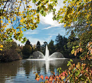 Fontäne im Herbst