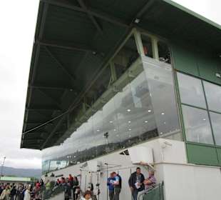 Windhundrennen Tralee