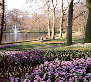 Blumenpracht im Keukenhof / Holland