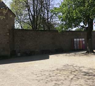 Rheinisches Landesmuseum