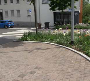 Stadtrundgang Balingen