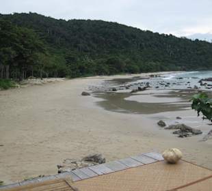 Bamboo Bay
