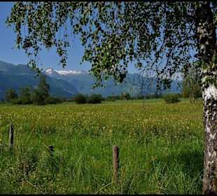 Naturschutzgebiet am Zeller See