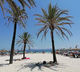 Strand Alcudia