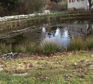 Hüle beim Dorfgemeinschaftshaus Bernloch