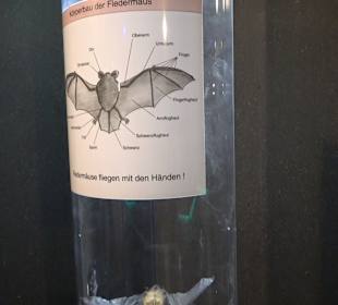 HöhlenSchauLand Hürben