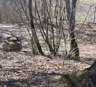 Ödenburg Oberstetten