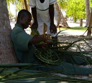Palmenhut zum Schnäppchenpreis (2 Dollar)