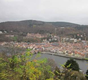 Blick vom Philosophenweg