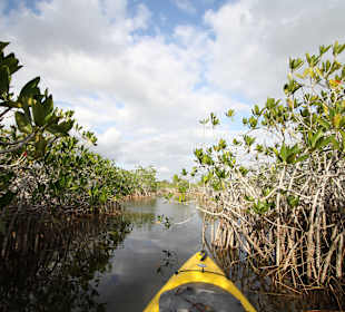 Unvergessliche Natur