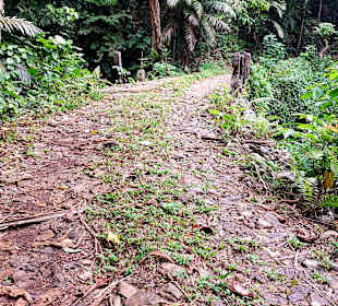 Parque Natural Obô do Príncipe